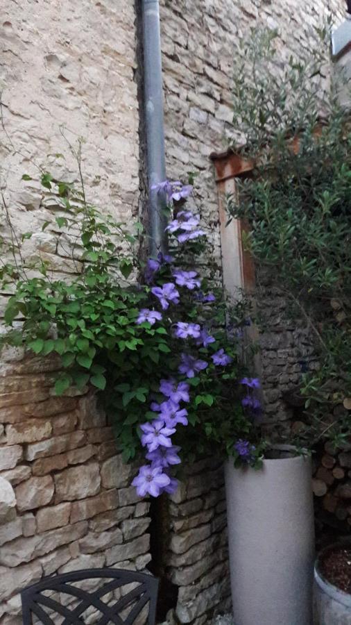 La Cuvee-Saint-Georges Daire Nuits-Saint-Georges Dış mekan fotoğraf